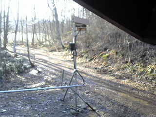 長野県菅平高原 ゆたか山荘 南側 2026/04/05 06:15