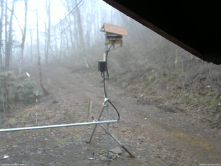 長野県菅平高原 ゆたか山荘 南側 2026/04/05 06:45