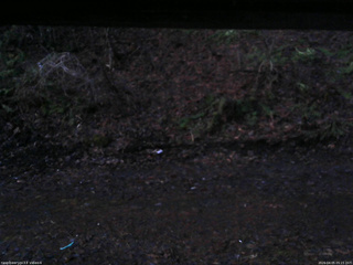 長野県菅平高原 ゆたか山荘 東側(坂下) 2026/04/05 05:15