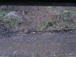 長野県菅平高原 ゆたか山荘 東側(坂下) 2026/04/05 05:30