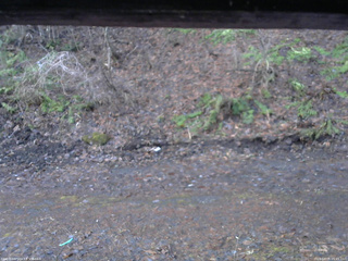 長野県菅平高原 ゆたか山荘 東側(坂下) 2026/04/05 05:45