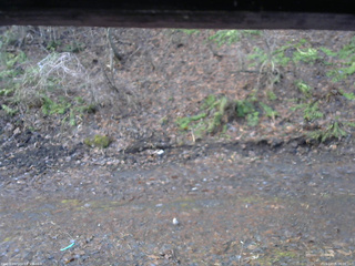 長野県菅平高原 ゆたか山荘 東側(坂下) 2026/04/05 06:00