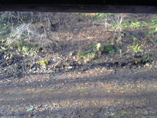 長野県菅平高原 ゆたか山荘 東側(坂下) 2026/04/05 06:15