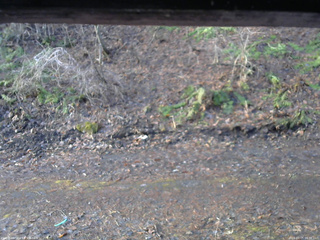 長野県菅平高原 ゆたか山荘 東側(坂下) 2026/04/05 06:30