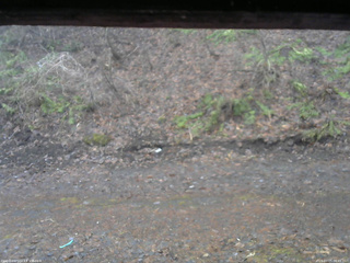 長野県菅平高原 ゆたか山荘 東側(坂下) 2026/04/05 06:45