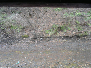 長野県菅平高原 ゆたか山荘 東側(坂下) 2026/04/05 07:30