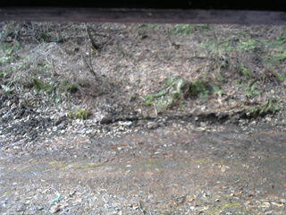 長野県菅平高原 ゆたか山荘 東側(坂下) 2026/04/05 07:45