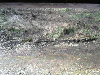 長野県菅平高原 ゆたか山荘 東側(坂下) 2026/04/05 08:00
