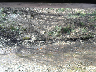 長野県菅平高原 ゆたか山荘 東側(坂下) 2026/04/05 08:15