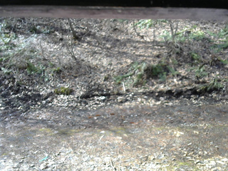 長野県菅平高原 ゆたか山荘 東側(坂下) 2026/04/05 08:30