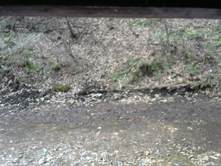 長野県菅平高原 ゆたか山荘 東側(坂下) 2026/04/05 08:45