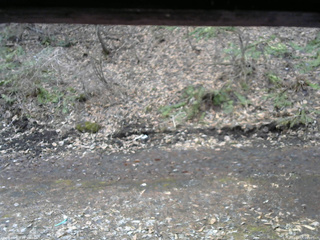 長野県菅平高原 ゆたか山荘 東側(坂下) 2026/04/05 09:00