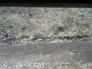 長野県菅平高原 ゆたか山荘 東側(坂下) 2026/04/05 09:15