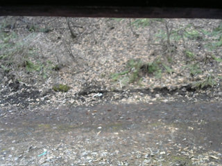 長野県菅平高原 ゆたか山荘 東側(坂下) 2026/04/05 09:45