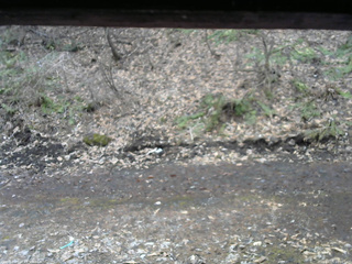 長野県菅平高原 ゆたか山荘 東側(坂下) 2026/04/05 10:00