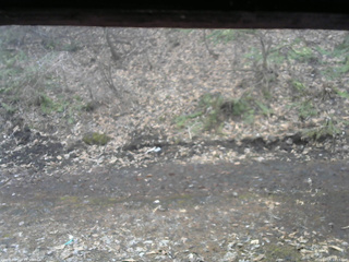 長野県菅平高原 ゆたか山荘 東側(坂下) 2026/04/05 10:15