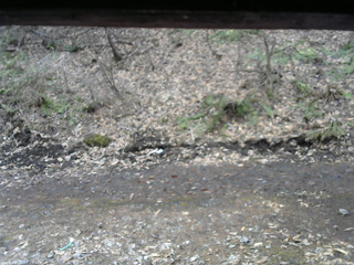 長野県菅平高原 ゆたか山荘 東側(坂下) 2026/04/05 10:30