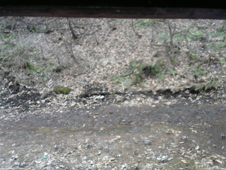 長野県菅平高原 ゆたか山荘 東側(坂下) 2026/04/05 10:45