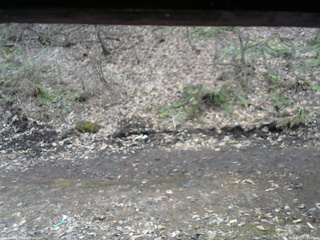 長野県菅平高原 ゆたか山荘 東側(坂下) 2026/04/05 11:00