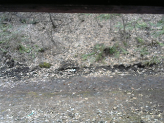 長野県菅平高原 ゆたか山荘 東側(坂下) 2026/04/05 11:15