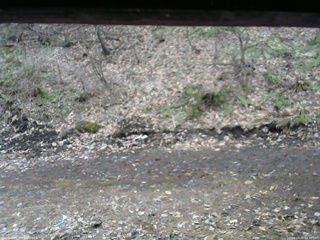 長野県菅平高原 ゆたか山荘 東側(坂下) 2026/04/05 11:30