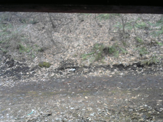 長野県菅平高原 ゆたか山荘 東側(坂下) 2026/04/05 11:45