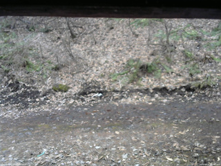 長野県菅平高原 ゆたか山荘 東側(坂下) 2026/04/05 12:00