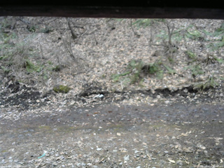 長野県菅平高原 ゆたか山荘 東側(坂下) 2026/04/05 12:15