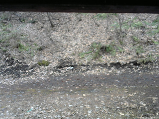 長野県菅平高原 ゆたか山荘 東側(坂下) 2026/04/05 12:30