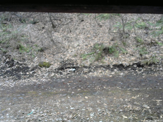 長野県菅平高原 ゆたか山荘 東側(坂下) 2026/04/05 12:45