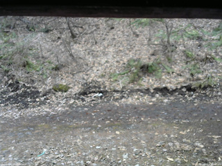 長野県菅平高原 ゆたか山荘 東側(坂下) 2026/04/05 13:00