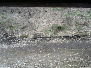 長野県菅平高原 ゆたか山荘 東側(坂下) 2026/04/05 13:15