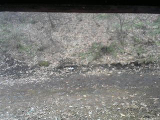 長野県菅平高原 ゆたか山荘 東側(坂下) 2026/04/05 13:30