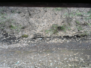 長野県菅平高原 ゆたか山荘 東側(坂下) 2026/04/05 13:45