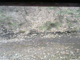 長野県菅平高原 ゆたか山荘 東側(坂下) 2026/04/05 15:30