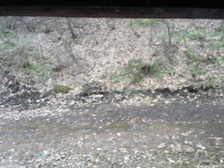 長野県菅平高原 ゆたか山荘 東側(坂下) 2026/04/05 15:45