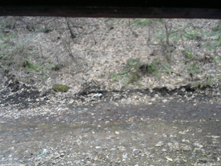 長野県菅平高原 ゆたか山荘 東側(坂下) 2026/04/05 16:00