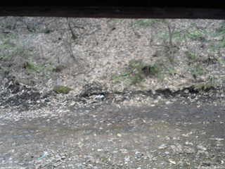 長野県菅平高原 ゆたか山荘 東側(坂下) 2026/04/05 16:15