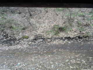 長野県菅平高原 ゆたか山荘 東側(坂下) 2026/04/05 16:30