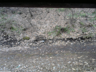 長野県菅平高原 ゆたか山荘 東側(坂下) 2026/04/05 17:30