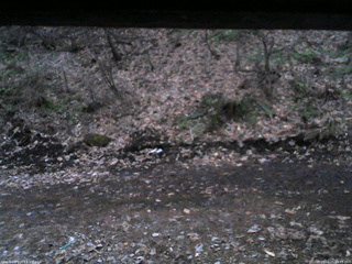 長野県菅平高原 ゆたか山荘 東側(坂下) 2026/04/05 18:15