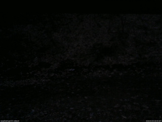 長野県菅平高原 ゆたか山荘 東側(坂下) 2026/04/05 18:30