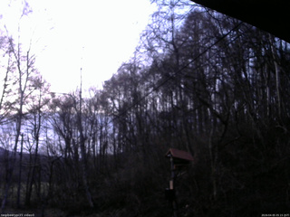 長野県菅平高原 ゆたか山荘 温度計 2026/04/05 05:15