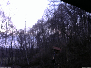 長野県菅平高原 ゆたか山荘 温度計 2026/04/05 05:30