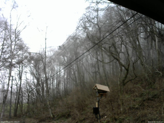 長野県菅平高原 ゆたか山荘 温度計 2026/04/05 09:15