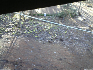 長野県菅平高原 ゆたか山荘 駐車場 2026/04/05 06:15