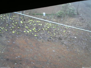長野県菅平高原 ゆたか山荘 駐車場 2026/04/05 06:45