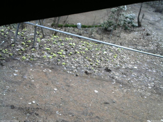 長野県菅平高原 ゆたか山荘 駐車場 2026/04/05 08:45