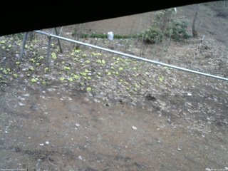 長野県菅平高原 ゆたか山荘 駐車場 2026/04/05 11:00