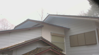 長野県菅平高原 ゆたか山荘 駐車場奥 2026/04/05 09:30